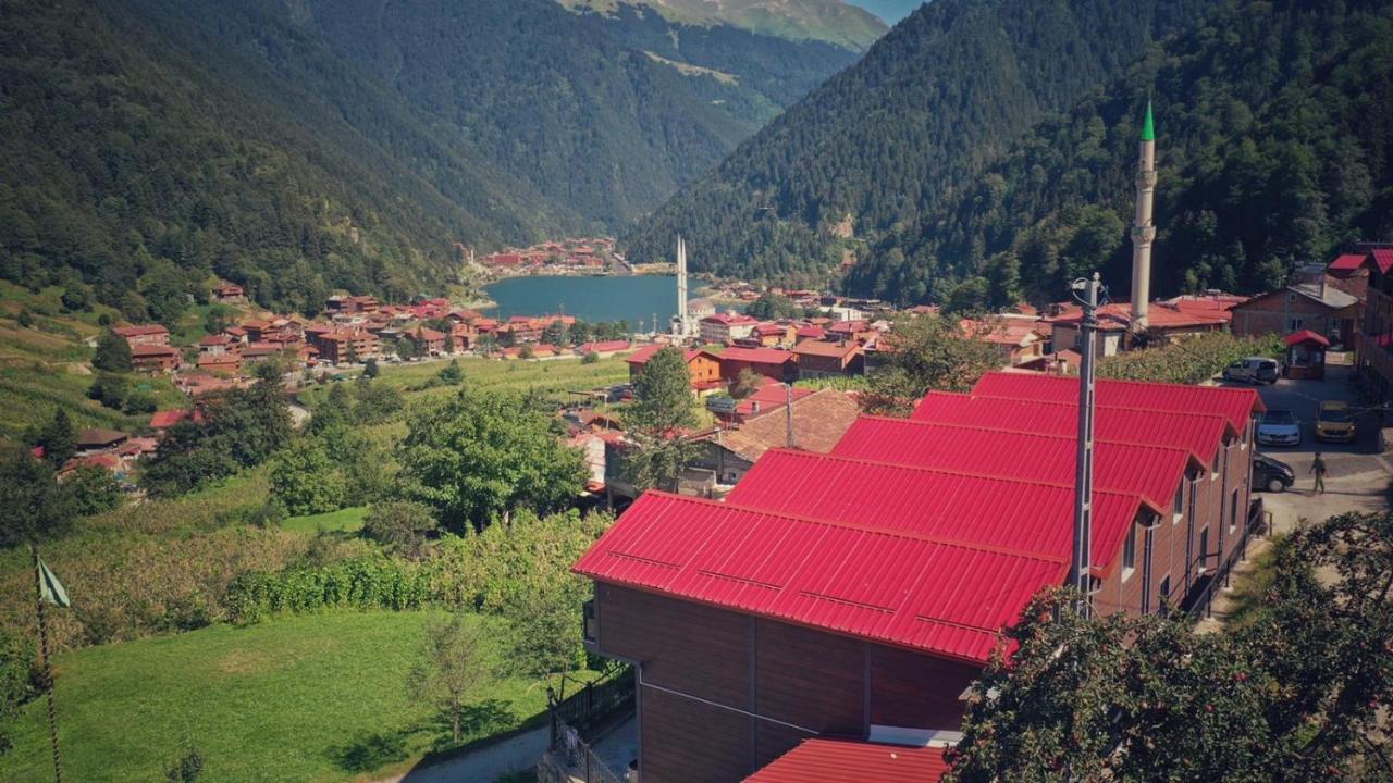 Horio Villa Uzungöl Exteriör bild